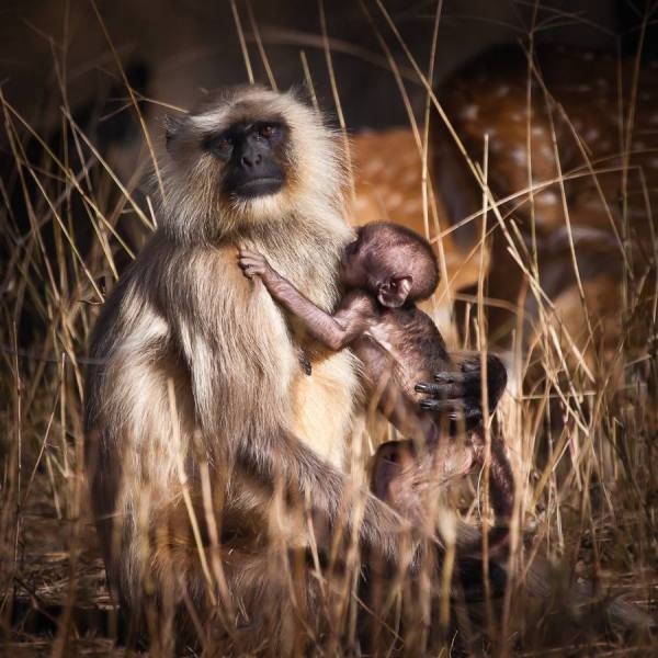 Photograph Karin De Winter Newborn on One Eyeland